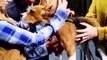 SNL - Show Canino en Badminster - Willem Dafoe - Katy Perry SNL 47