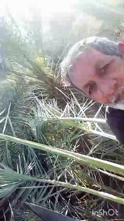 This laboring man هذا الرجل الذي يعمل بجد یہ شخص سخت محنت کرتا ہے۔