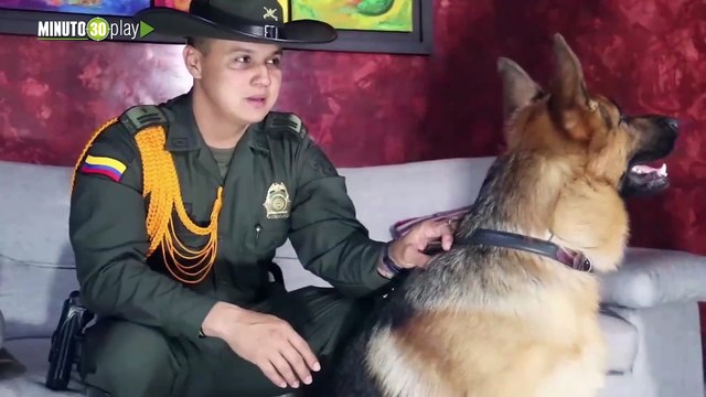 Policía en Cali entrenó a un perrito para detectar los niveles de azúcar en la sangre de su dueña parte 2