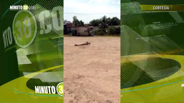 Brujería investigan extraña muerte de un conducto que gritaba culebras culebras antes de morir