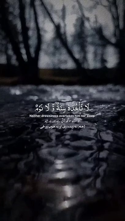 Quran recitation]quran Ki talawat]Melodious Quran