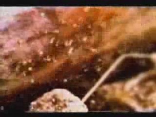 Radiohead - Stop whispering