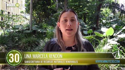 Pilas A cuidar proteger la palma de cera y de la fauna silvestre durante la Semana Santa