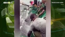 Precioso Tiburón ballena fue liberado  por pescadores de una red en el pacífico colombiano