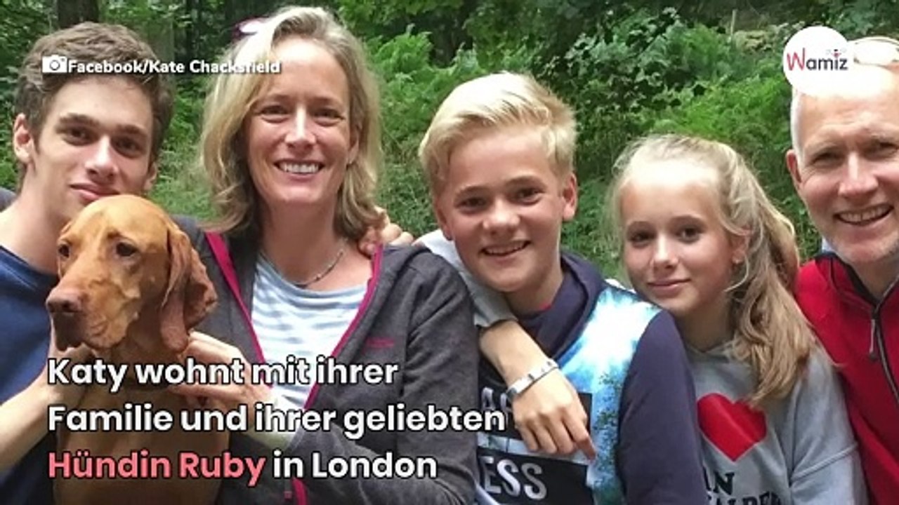 Familienhund stirbt an etwas, das viele von uns in der Küche haben