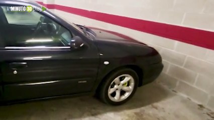 Detienen a cinco ladrones por robar 16 palomas