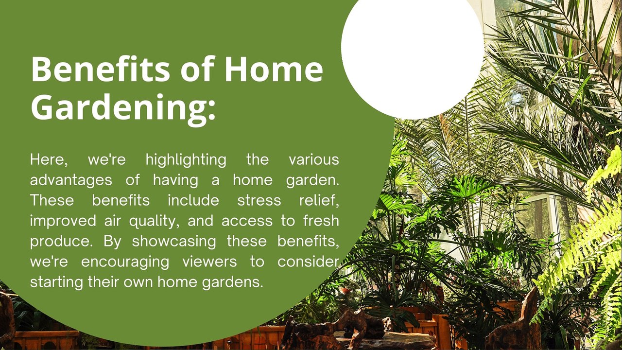 Plants for home garden