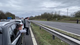Video shows goats being secured after blocking motorway