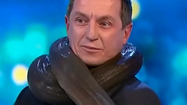 Moment snake wraps itself around TV presenter’s neck live on-air