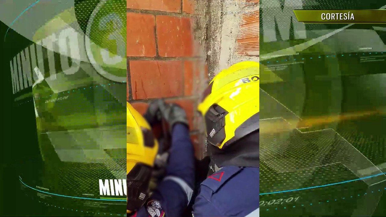 Atrapado entre varillas bomberos de Cali rescatan a un gatito que cayó desde una gran altura