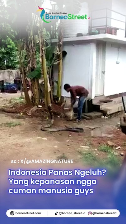 Ular juga bisa kepanasan