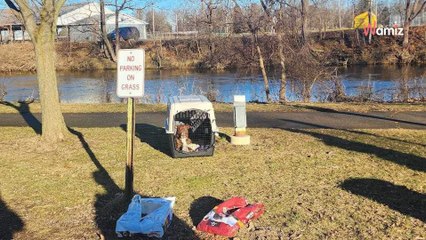 Un chien est abandonné avec toutes ses affaires au bord d’un lac : un policier lui vient en aide