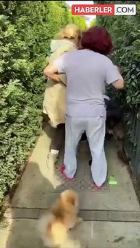 Banu Parlak'ın Köpeği Komşusunun Köpeğini Öldürdü: 4800 Lira Cezaya Çarptırıldı