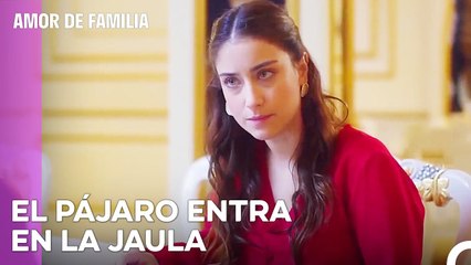 Filiz Está A Punto De Caer En La Trampa De Nihal - Amor De Familia Capitulo 151