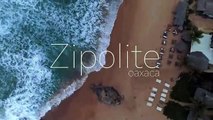 Trabajo comunitario a quienes tengan sexo en playa nudista de Zipolite, Oaxaca