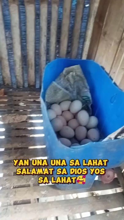 marami na sila