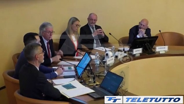 Video News - Domani lavoro , opportunità di carriera