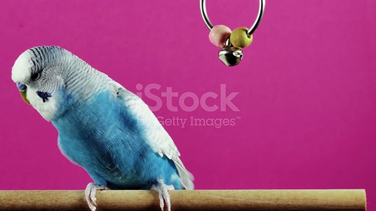 istockphoto-1330987451-640_adpp_is