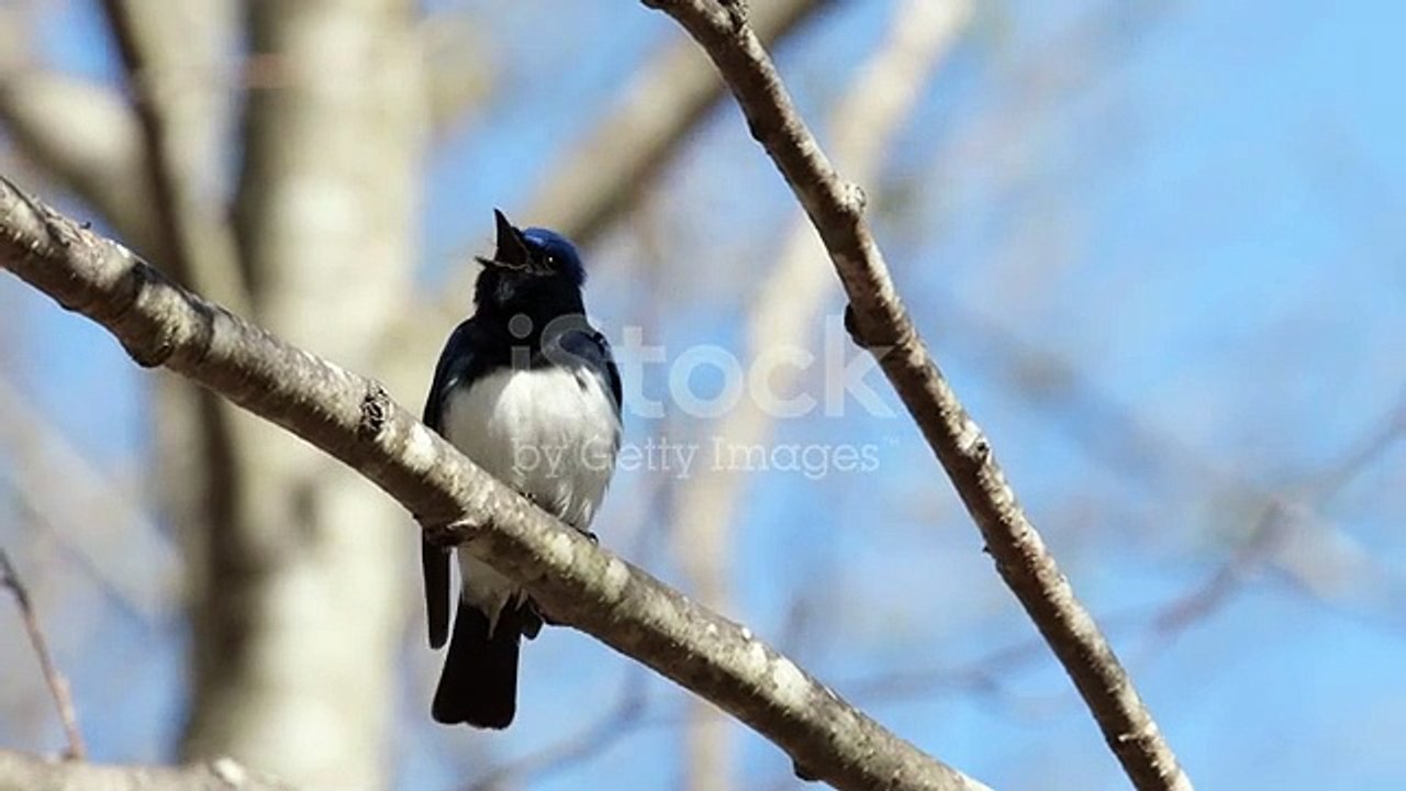 istockphoto-1316385263-640_adpp_is