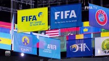 Bajo presión, la FIFA toma una decisión sobre la clasificación para el Mundial de Rusia