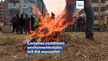 Les agriculteurs protestent à nouveau à Bruxelles alors que l'UE révise la PAC