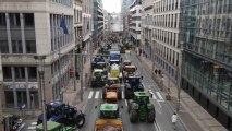 Agricultores protestan de nuevo en Bruselas al considerar que la UE no les está escuchando.