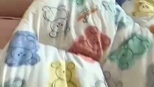 Baby cats