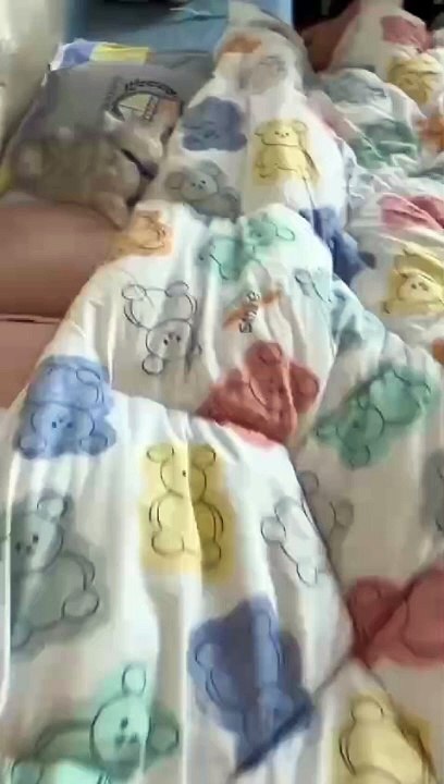 Baby cats