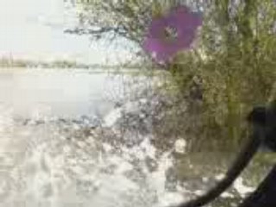 Plivot (2)