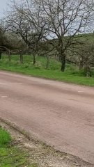 Un village des Vosges se met aux couleurs des Jeux Olympiques à quatre mois de l'événement