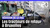 Colère des agriculteurs : L’Union européenne révise la PAC, les tracteurs de retour à Bruxelles