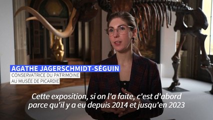 A Amiens, l'exposition "La Somme des Préhistoires", voyage dans le temps et le climat