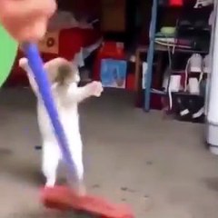 The Funniest Animals - Awesome funny animal life videos - funny animals #funnycats450