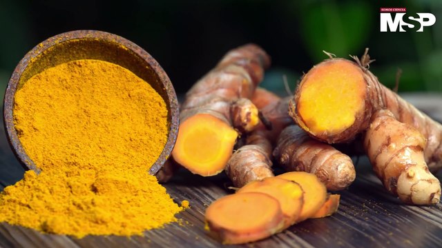 Nutrición antes, durante y después de la menopausia - #ExclusivoMSP