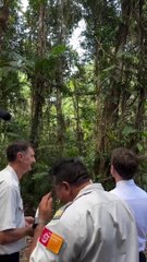 Emmanuel #Macron en #Guyane : au cœur de la #forêt #amazonienne