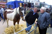 14 photographs from the Ballyclare Horse Fair in May 2002