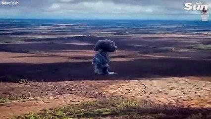 Download Video: Las fuerzas especiales ucranianas eliminan tanques rusos en bombardeos aéreos sobre Donetsk