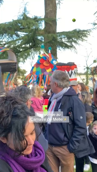  Venez vivre une expérience hors du commun au Carnaval de Melle !  ⭐️Dans cette célébration emblématique, laissez-vous transporter par une explosion de couleurs, de musique et de joie.