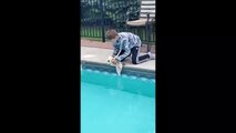 Niño salva a una ardilla de ahogarse en la piscina