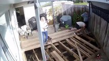 Mujer con su perro en brazos se cae por la cubierta tras pisar una tabla