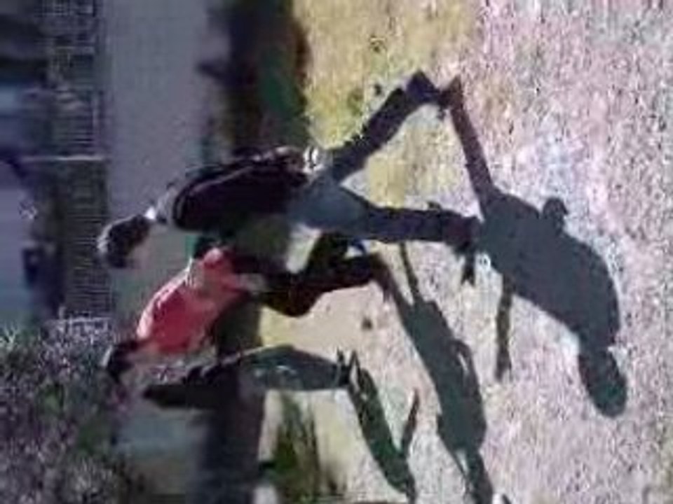petanque