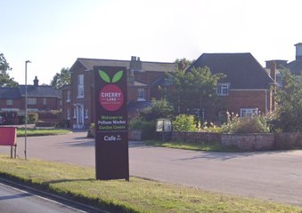 Bailey the dog tests Cherry Lane's scented floors
