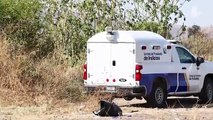 Hallan calcinadas a cinco de las seis mujeres desaparecidas en Celaya