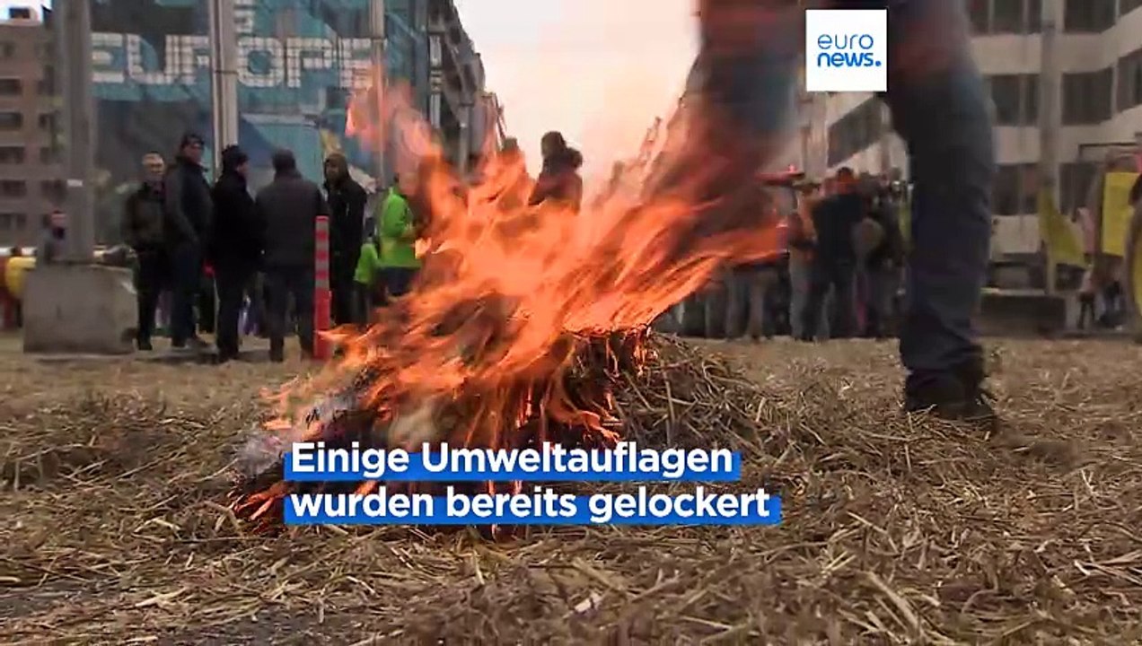 Bauernproteste in Gewalt umgeschlagen: Polizei setzte Tränengas ein