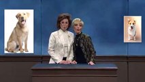 #SNL: Comercial de escuela de actuacion para perros