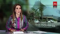 Hallan un tigre y una cebra dentro de rancho en Querétaro donde murieron cinco personas