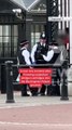 Man arrested outside Buckingham Palace