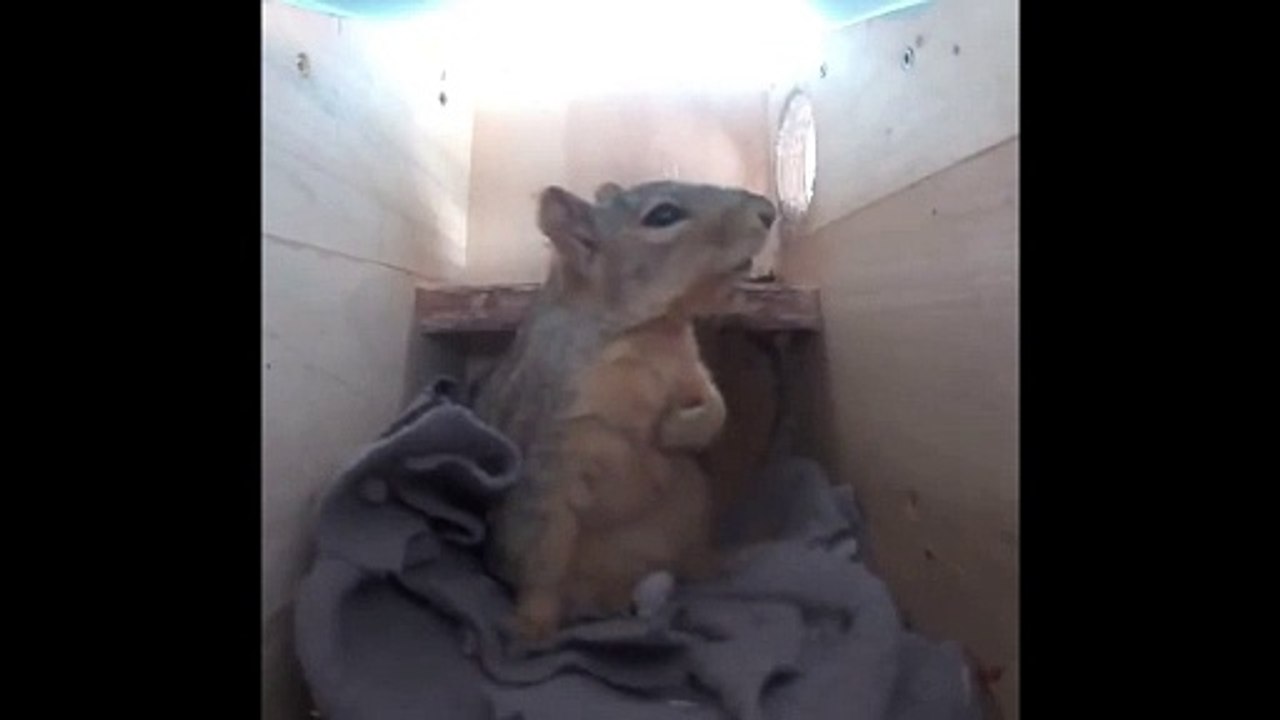 Quand tu te réveilles après un cauchemar