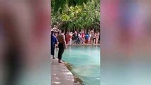 Serpiente se cuela en una piscina y los turistas huyen