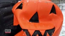 Rescatan a un ciervo con un cubo de Halloween atascado en la cabeza